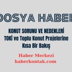 DOSYA HABER