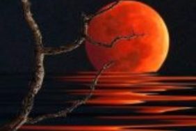 845a2088daf09f0bbdcb3f7047233bc0-1-168x300