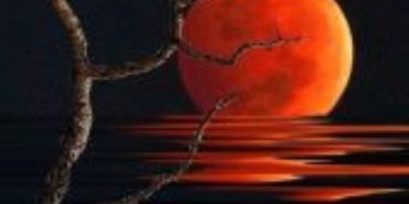 845a2088daf09f0bbdcb3f7047233bc0-1-168x300