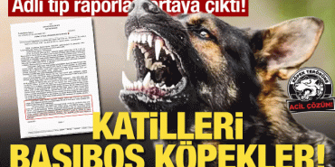 adli_tip_raporlari_ortaya_cikti_katilleri_basibos_kopekler_1714063375_8083.gif
