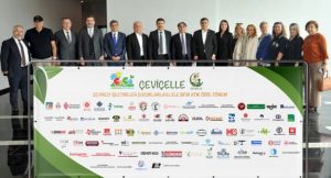 cecivelle-1