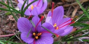 edd4f634-5261-45dd-91a5-5c6e56abd4ef