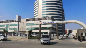 mersinde_vahsi_cinayet_hastanede_tedavi_goren_annesini_oldurdu_1712212659_9087.jpg