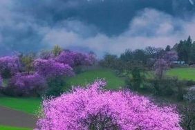 800b40f2-11e6-4ef2-8e3f-546c47fa692e (1)