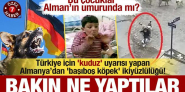 turkiye_icin_kuduz_uyarisi_yapan_almanyadan_kopek_ikiyuzlulugu_bakin_ne_yaptilar_1715462314_5422.jpg