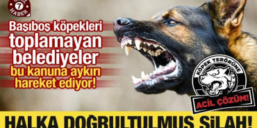 vatandasi_tehlikeden_koruyan_kanuna_aykiri_hareket_ediyorlar_halka_dogrultulmus_silah_1715954159_7866.jpg