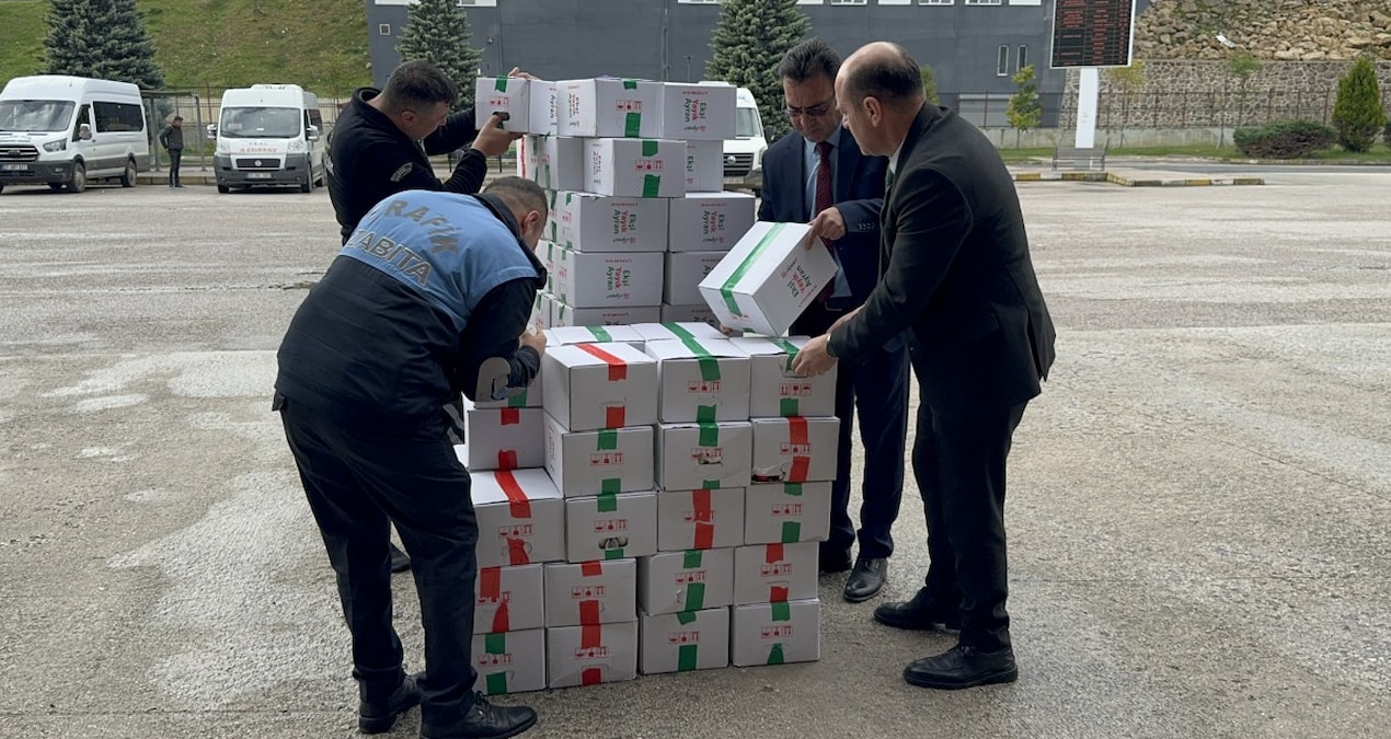 995jpg-Ofri3Svz2EyKkDVBY0ZKKA.jpg