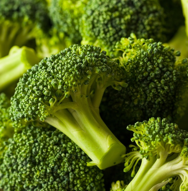brokolishutterjpg-YFwFfOjJtUyHGbVdIik56g.jpg