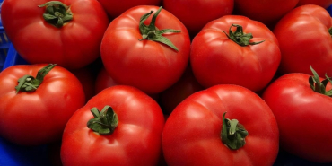 domates1jpg-ET7rqlR1_UWoIwCe1fbOVg.jpg