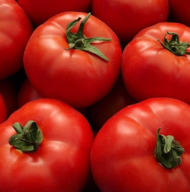 domates1jpg-ET7rqlR1_UWoIwCe1fbOVg.jpg