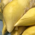 durianjpg-EIO-TqyczUu8kxPYZiO8tw.jpg