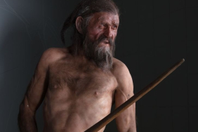 otzi2