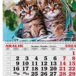 aralık24