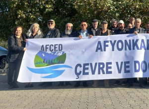 afyon11