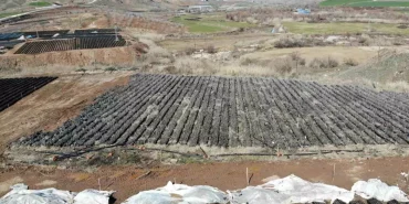 siirt-te-yetistirilen-fidanlar-bolgenin-fisti-18455349_amp.jpg
