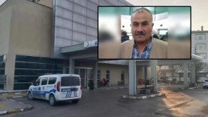 şıvgın