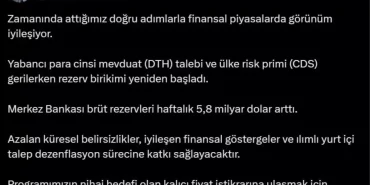 bakan-simsek-finansal-piyasalarda-gorunum-18633536_amp.jpg
