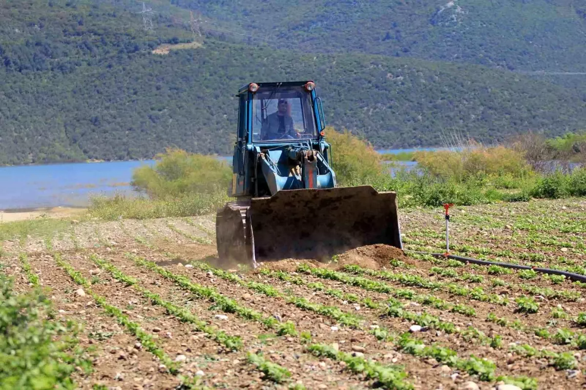 devlet-ciftciye-ekin-diyor-dsi-ekili-alanlari-18592743_amp.jpg