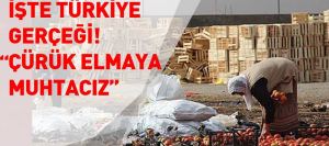 fatmaöz