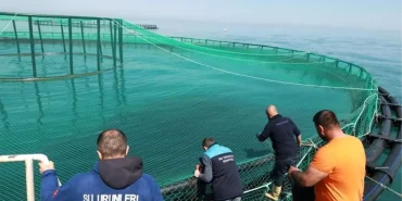 trabzon-da-denizdeki-balik-kafeslerine-deneti-18617567_amp.jpg