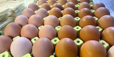 yumurta-kabugu-deyip-gecmeyin-sanayide-cok-de-18589661_amp.jpg