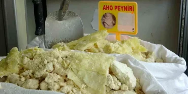 aho-peyniri-icin-cografi-isaret-basvurusu-yap-18747105_amp.jpg
