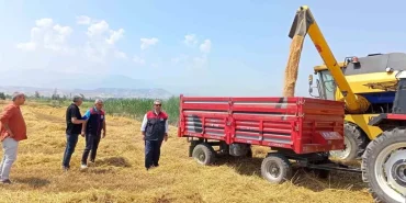 denizli-de-bugday-hasadi-basladi-18743697_amp.jpg