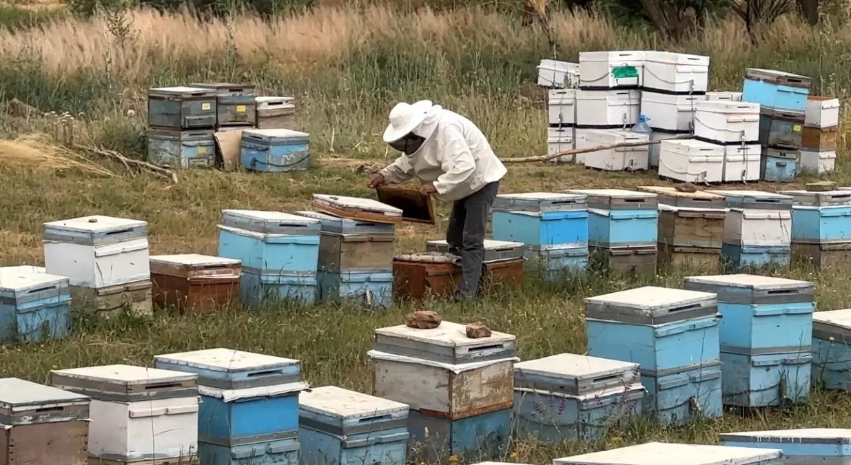 cilo-dagi-eteklerinde-bal-uretimi-18854091_amp.jpg