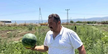tokat-ta-karpuzun-tarladaki-donum-fiyati-10-b-18846212_amp.jpg