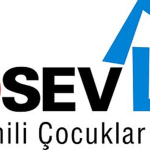 LÖSEV_LOGO.jpeg