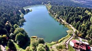 bolu