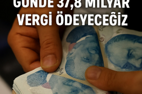 vergi