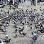 e3473fe08d03a46dedf970d8c1bcf49c