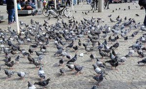 e3473fe08d03a46dedf970d8c1bcf49c