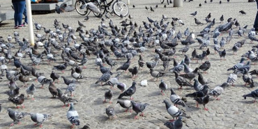 e3473fe08d03a46dedf970d8c1bcf49c