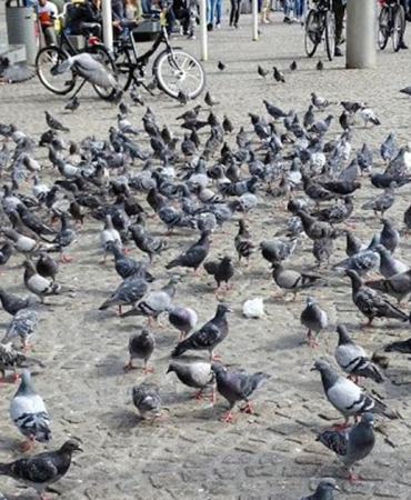 e3473fe08d03a46dedf970d8c1bcf49c