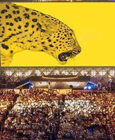 locarno-film-festivali-ilk-kez-istanbulda-32941