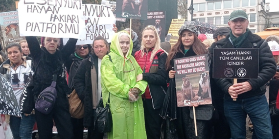 Hayvanlara Adalet İçin Toplum Tek Ses: Sultanahmet Mitingi