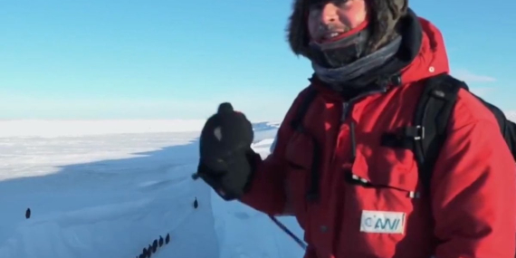 BBC Ekibi, Penguenler İçin Hayati Müdahalede Bulundu