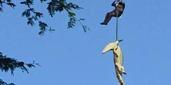 Komati Nehri’nde Timsahın Midesinde Kayıp İnsana Ait Kalıntılar