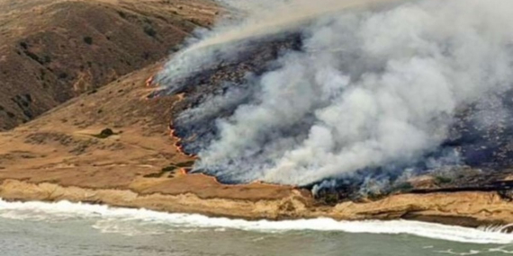 Santa Rosa Adası’ndaki Yangın Doğayı Tehdit Ediyor!